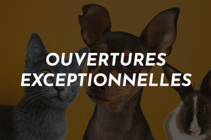 OUVERTURES EXCEPTIONNELLES DU CABINET VETERINAIRE DE LA. BLECHERETTE
