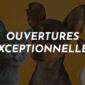 ouvertures exceptionnelles 85x85