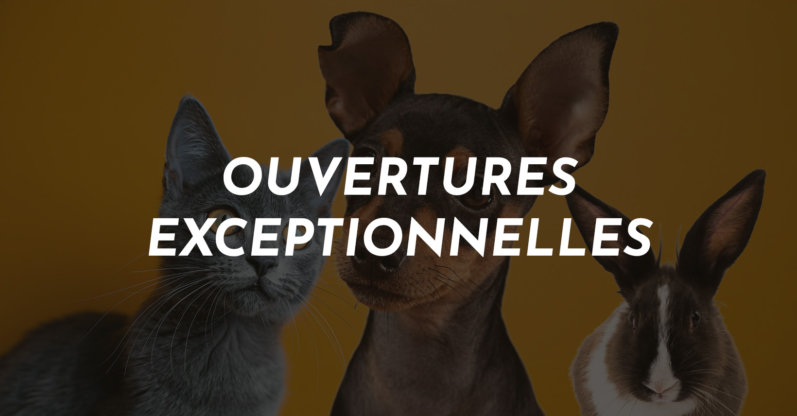 OUVERTURES EXCEPTIONNELLES DU CABINET VETERINAIRE DE LA. BLECHERETTE