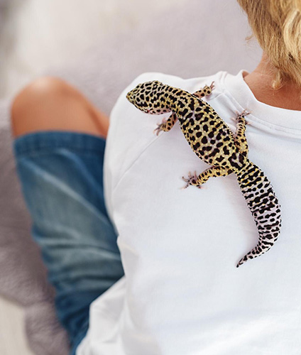 reptile-geko-veterinaire-lausanne-service-detail-card