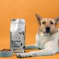 nourriture chiens sterilises lausanne 85x85